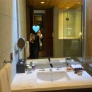 호텔CC | 제주 핀크스CC 라운딩 후기 + 포도호텔 숙박 후기