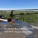 템푸스 - 제주시 | 브아칠 #18-1] 아르헨티나 멘도사 와이너리 추천 | 템푸스알바(Tempus Alba) & 메비(Mevi) 와인 테이스팅