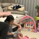 효승태권도 이미지