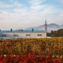 여주-1092 이미지