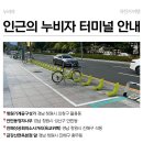 안민동 정자나무 이미지