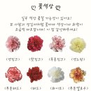 소소절절 꽃이야기 네이버블로그