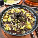 돈카춘