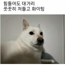 기운