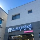 스프링댕댕 이미지