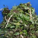 밭 단도리하고 이미지