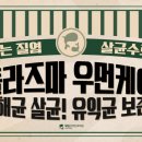 우리개 우리냥이 이미지