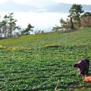 남해-185 이미지