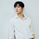 차은우 카카오 검색결과