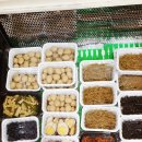 반찬가게 티스토리