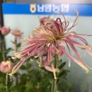 제주 남원농업협동조합태흥지점 이미지