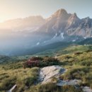 멍멍이집 이미지