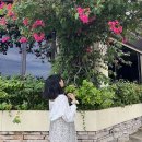사이판 3박 5일 여행 1,2일차 일정 (다이브위시, 아쿠아리조트, 플루메리아 스테이크, 아이러브사이판)