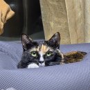 나래태권도장 | 20251205 ~ 20251231