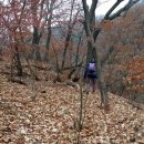 개명산 산행 - 02) 대원정사에서 앵무봉으로 올라가는 길