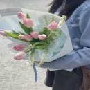시안플라워 이미지