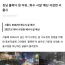 강남 물바다 된 이유...'하수 시설' 예산 삭감한 서울시 이미지