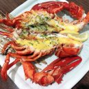 매화일식 이미지