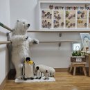 나를 위로하는 감정테라피 | 양육자 힐링 연수 그림책 감정 아로마테라피 _ 마쉬