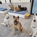 멍스 스쿨 이미지