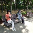 윗말어린이공원 이미지