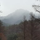 어론교 - 1200 | 어론교