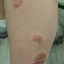 메어리벳의원 이미지