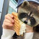 시흥대로92길 이미지