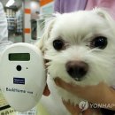 수원종합동물병원 이미지