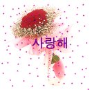 ★☆○ 2013년 2월13일 수요일 *724기 출석부 입니다★☆○ 이미지