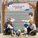 국내도 '뇌전증도우미견' 생겼다…발작 발생 환자 도와줘 이미지