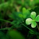 월급만으로 저축하여 10억 모을수 있다. 이미지