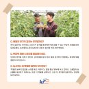 배씨농장 이미지