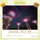 스모그 트리 | [싱가포르 여행] 슈퍼트리쇼, 분수쇼 시간정보 및 후기