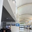 시드니에서 멜버른 비행기 렉스 항공 탑승 후기 (툴라마린공항, 가격, 예약 방법, 수하물규정)