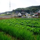 석양경로당 티스토리