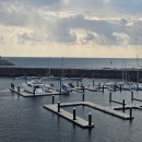 숲안경로당 | 사진으로 걷는 제주 올레 5코스 후기