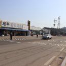 공단로가로수 Daum카페