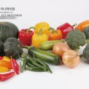 아나파의원 이미지