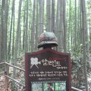 옥정 메타세콰이아길 이미지