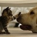 청학2동-5 이미지