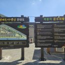 금천계곡 야영장 이미지