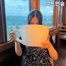 녹색산장펜션 | 경남 양산 숲속 산장 카페 6리터 다라이카노 힐링되는 마운틴뷰 우드앤숲