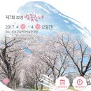 제7회 보성벚꽃축제에 여러분을 초대합니다. 이미지