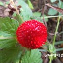 밤산농원 이미지