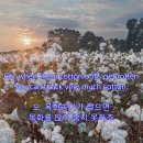 카튼노래 이미지