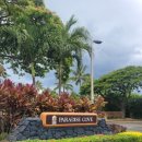 파라다이스 코브 | [하와이 신혼여행] 파라다이스 코브 퍼블릭 비치 후기｜스노클링·몽크씰·거북이·주차 정보 총정리