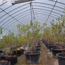 노을지는농장 이미지