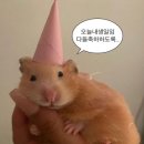 시우노동조합 | 애드라 나 이제 신규 간호사 아니야 !! 조대써 !!ㅠ