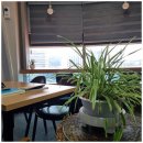 하나행정사사무소 이미지